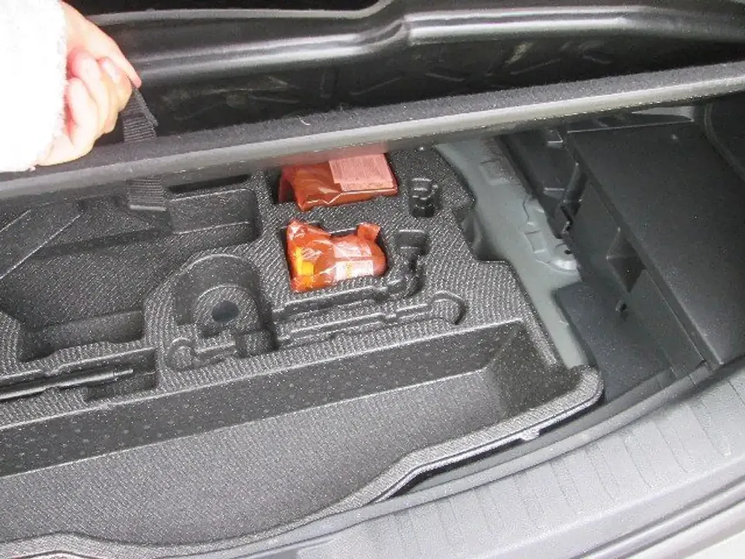 Toyota RAV 4 Hybrid Team Deutschland - foto 15