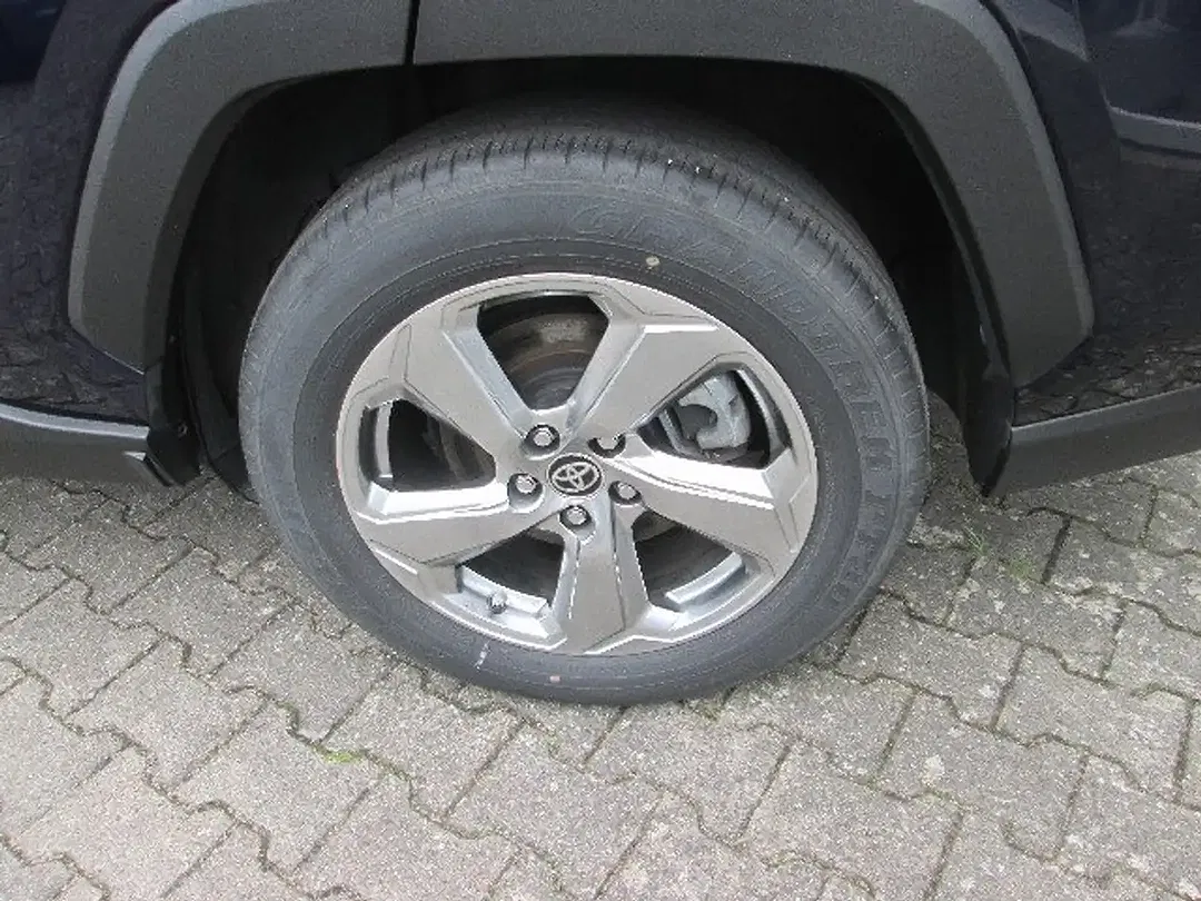 Toyota RAV 4 Hybrid Team Deutschland - Thumbnail 9