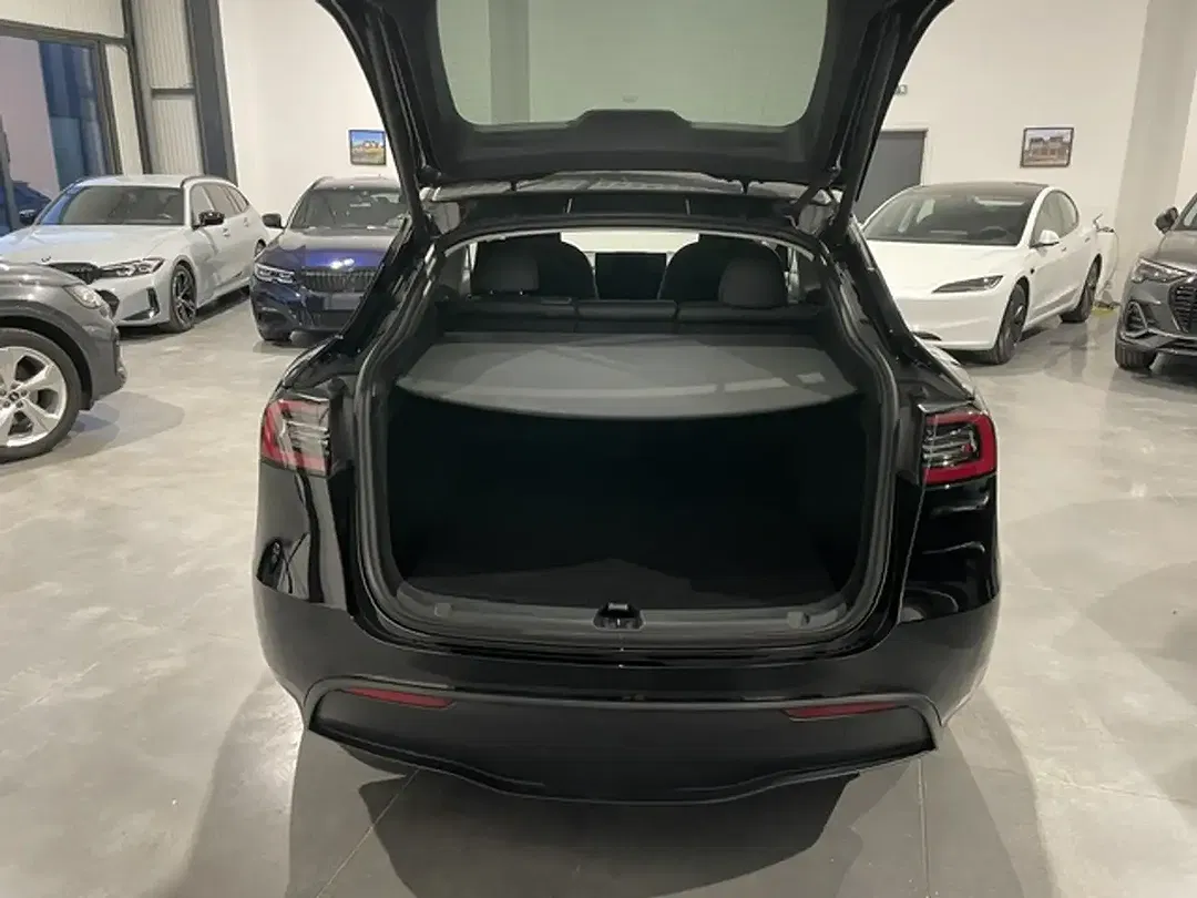 Tesla Model Y Standard Range - Thumbnail 4