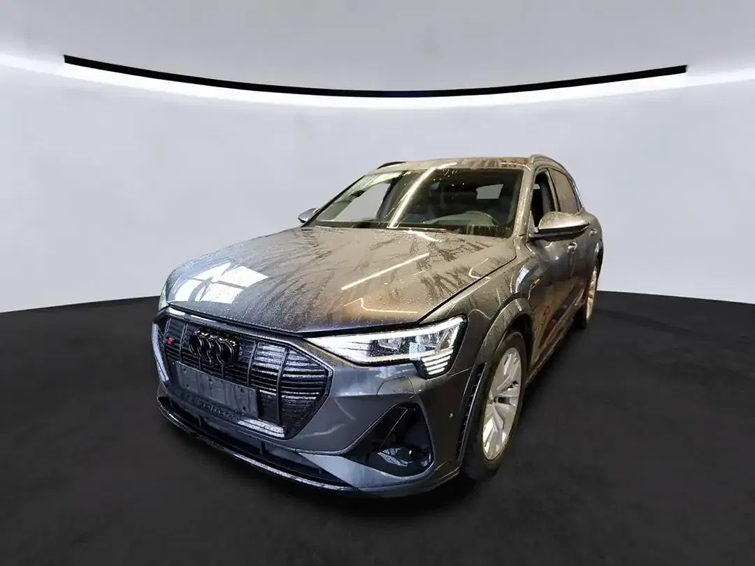 Audi e-tron Matrix LED - foto 2