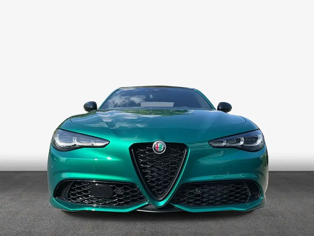 Alfa Romeo Giulia 2.0 16V Turbo Tributo Italiano - Thumbnail 3
