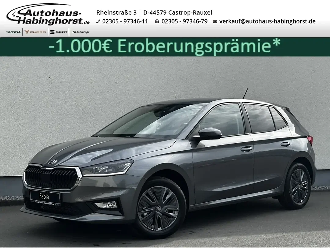 Skoda Fabia 1.0 iV TSI - Afbeelding 1