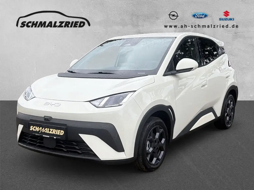 BYD Dolphin Comfort - Afbeelding 1