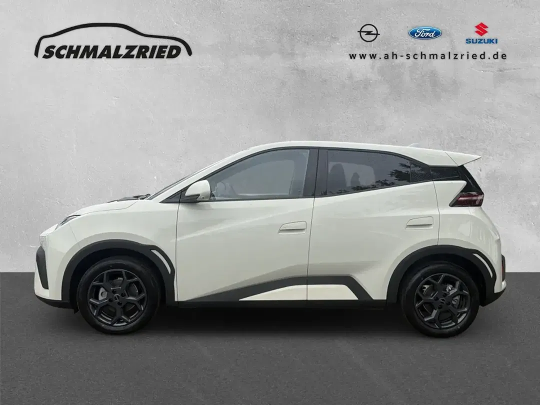 BYD Dolphin Comfort - foto 2