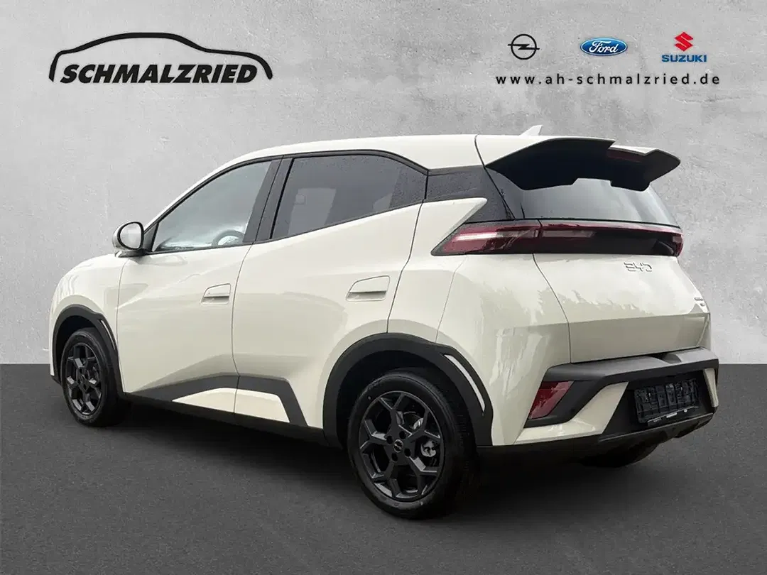 BYD Dolphin Comfort - Thumbnail 3