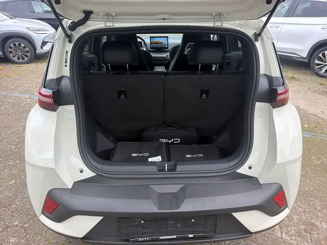 BYD Dolphin Comfort - Thumbnail 8