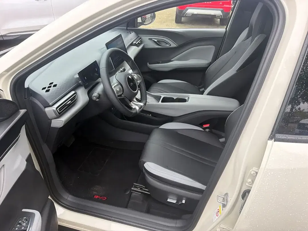 BYD Dolphin Comfort - Thumbnail 9