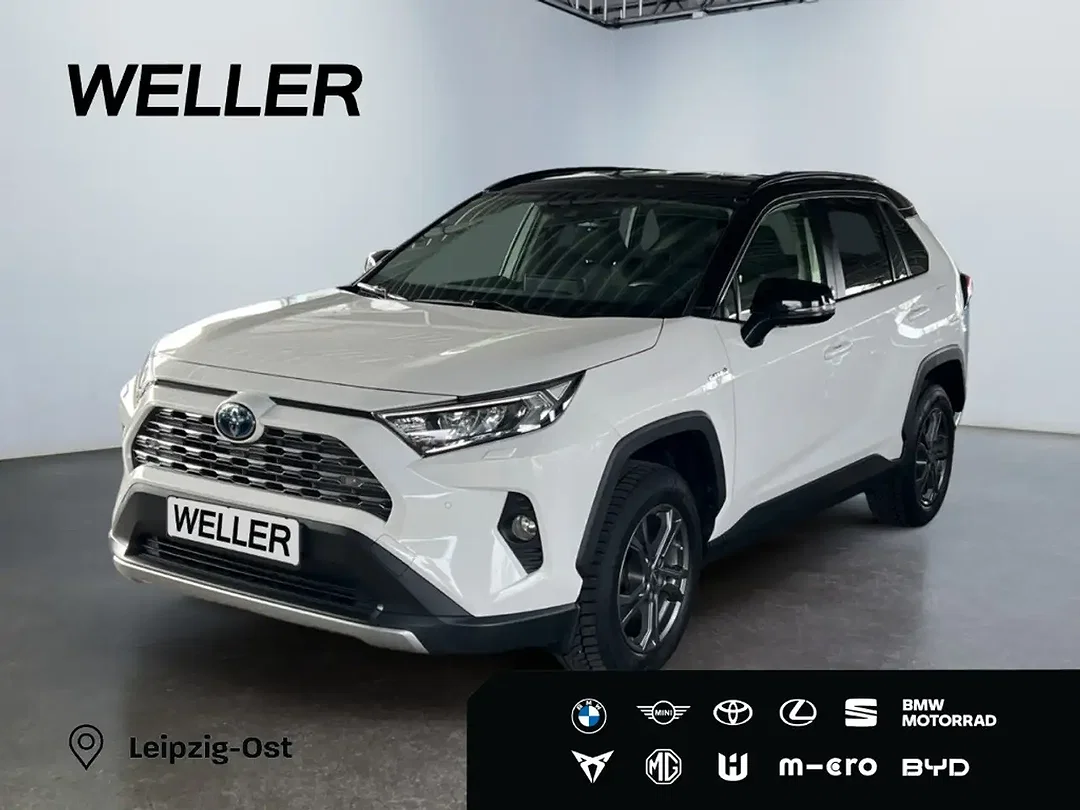 Toyota RAV 4 Hybrid Team Deutschland - Afbeelding 1