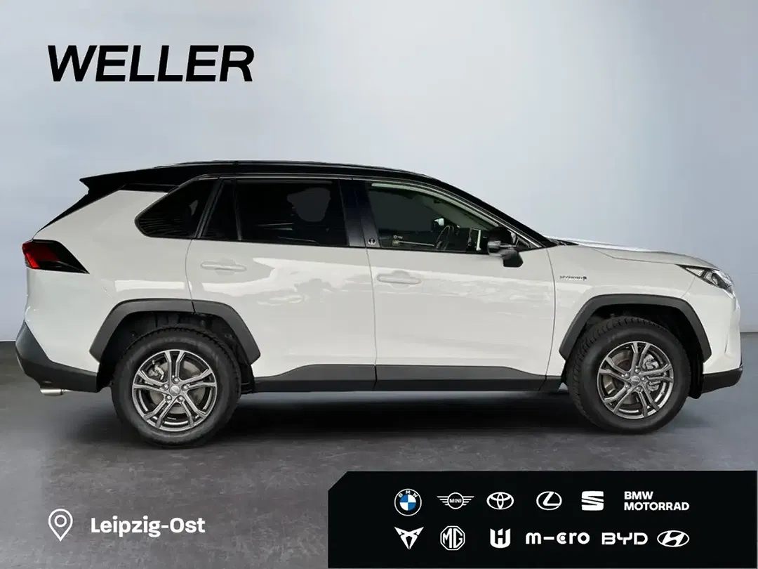 Toyota RAV 4 Hybrid Team Deutschland - Thumbnail 10