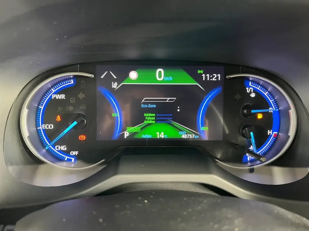 Toyota RAV 4 Hybrid Team Deutschland - foto 15