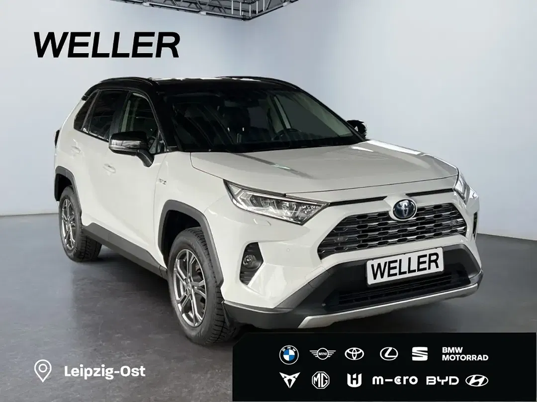 Toyota RAV 4 Hybrid Team Deutschland - Thumbnail 4