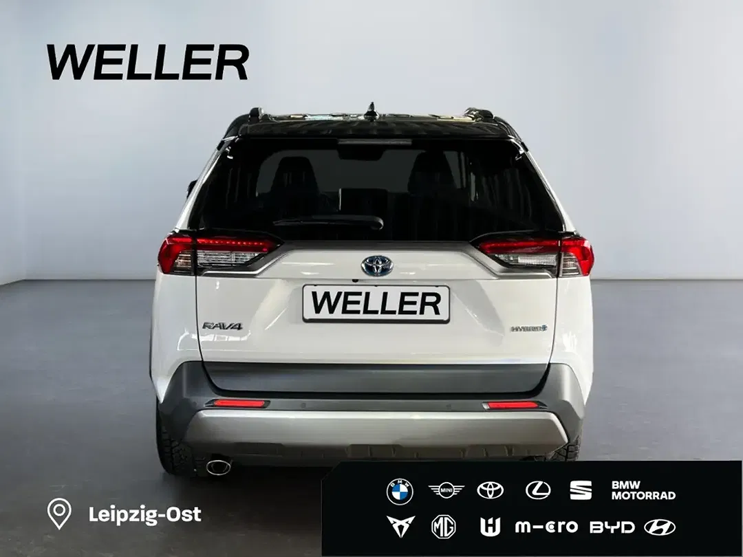 Toyota RAV 4 Hybrid Team Deutschland - Thumbnail 6