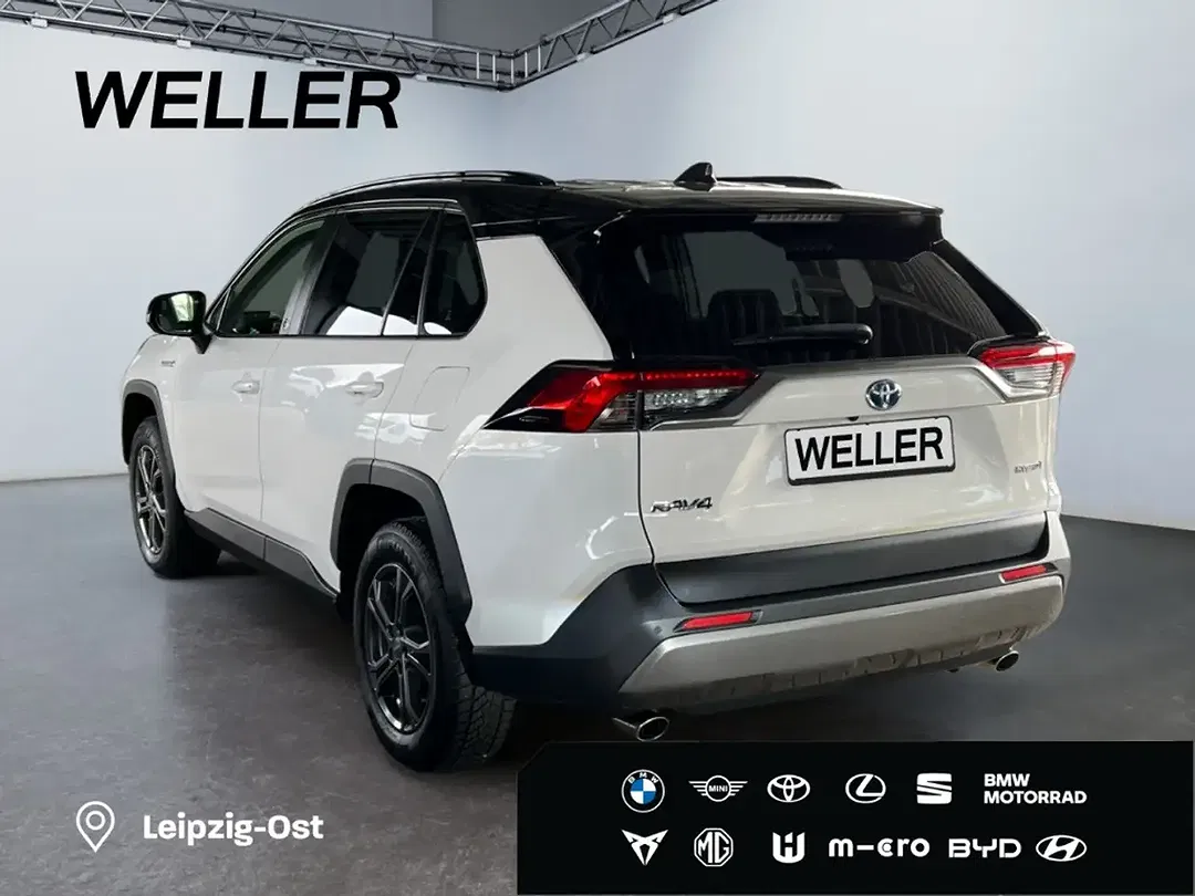 Toyota RAV 4 Hybrid Team Deutschland - Thumbnail 7