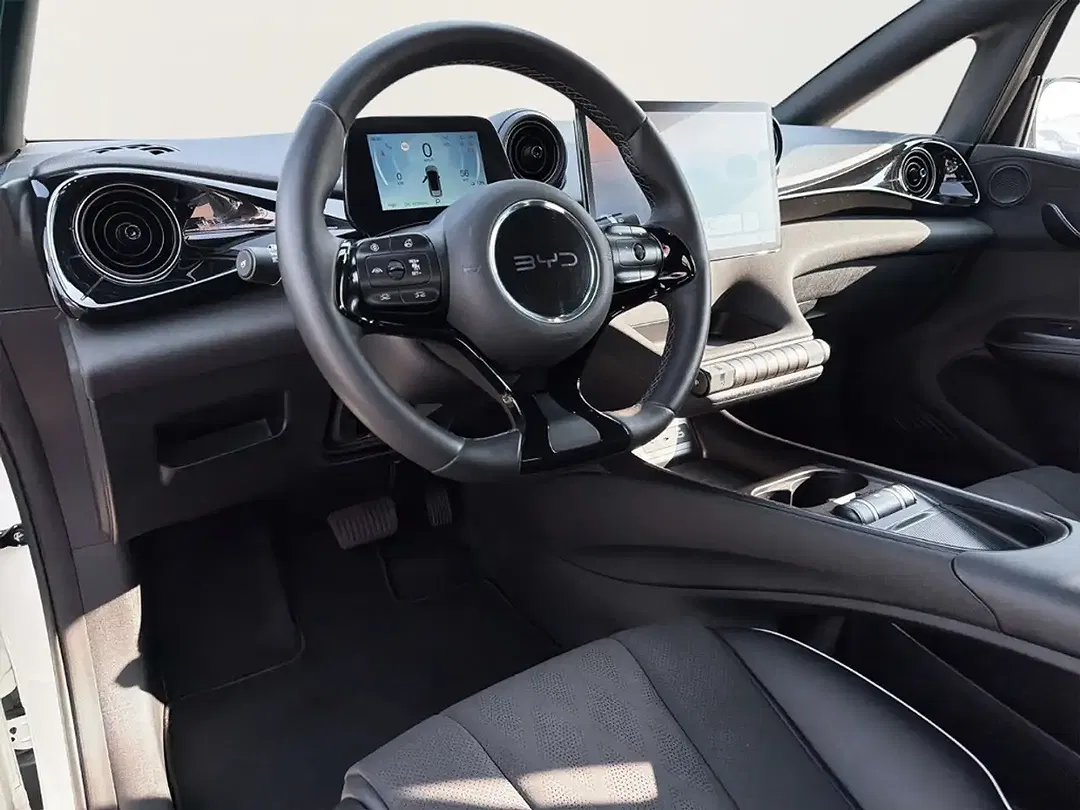 BYD Dolphin Comfort - Thumbnail 10