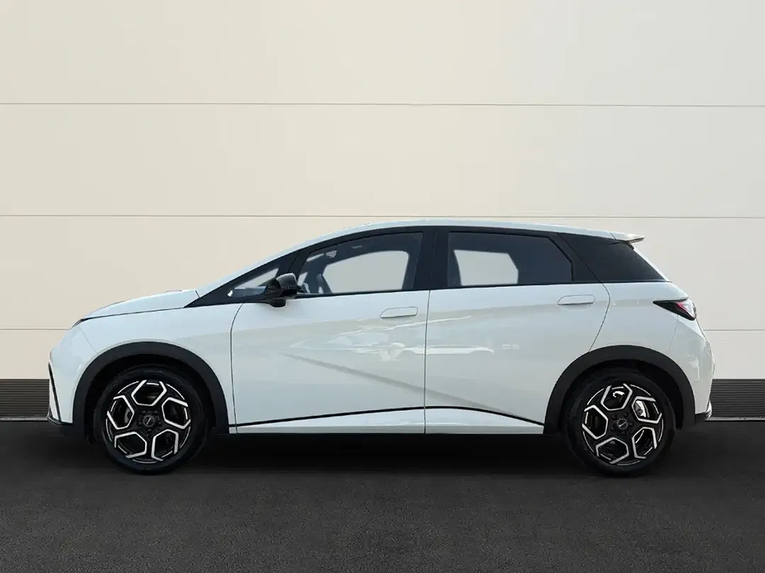 BYD Dolphin Comfort - foto 2