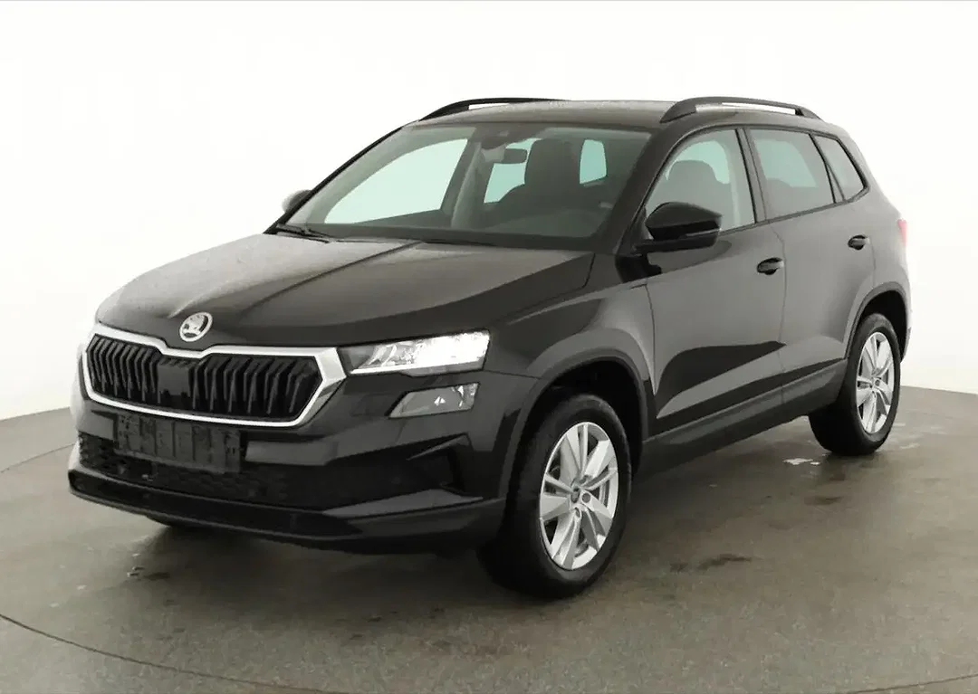 Skoda Karoq 2.0 TDI DSG 4x4 Selection - Afbeelding 1