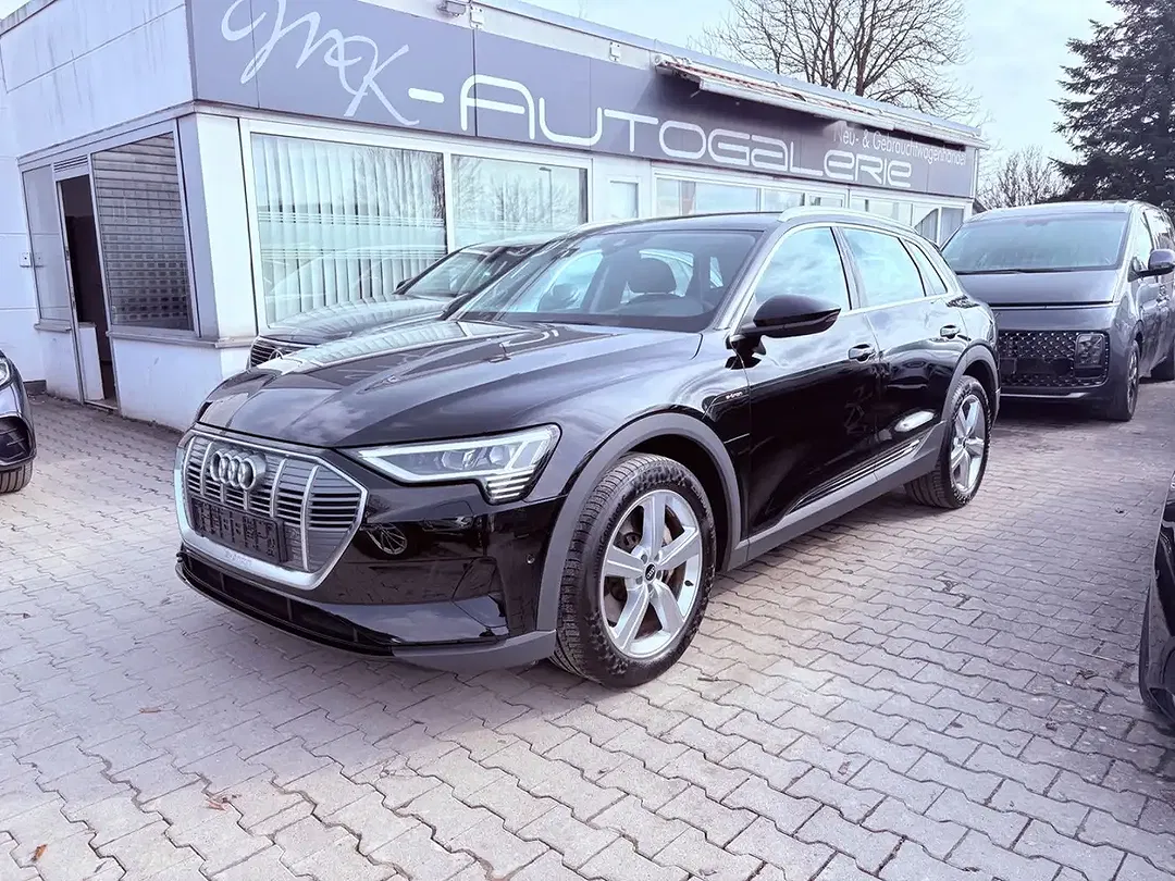 Audi e-tron 50 Matrix LED - foto 1