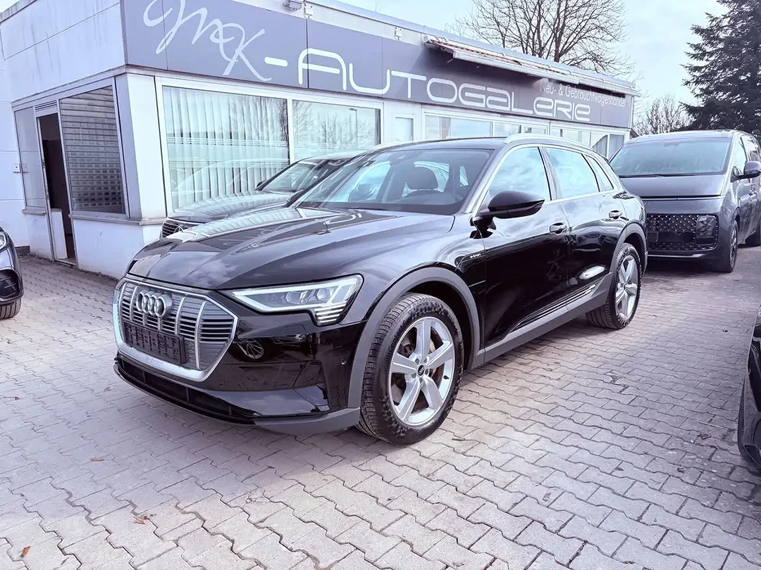 Audi e-tron 50 Matrix LED - Afbeelding 1