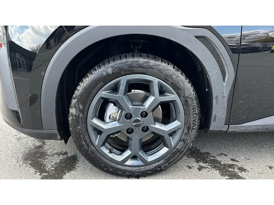 BYD Dolphin Surf Comfort - Thumbnail 7