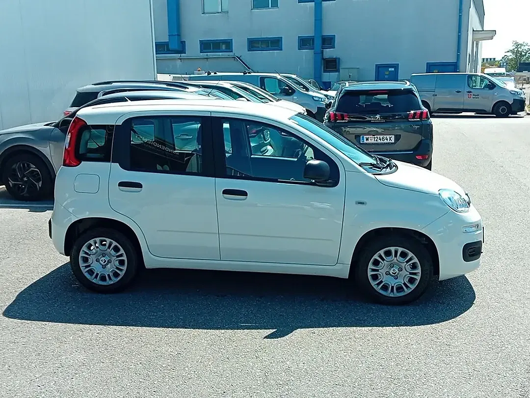 Fiat Panda - Thumbnail 4