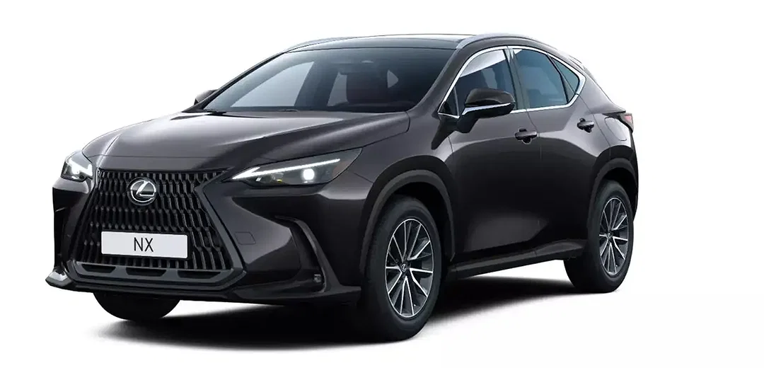 Lexus NX 450h+ Executive Line - Afbeelding 1