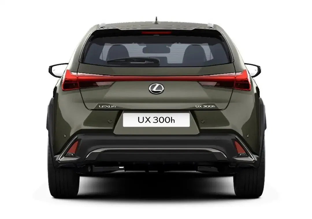 Lexus UX 300h F SPORT Design - Thumbnail 4