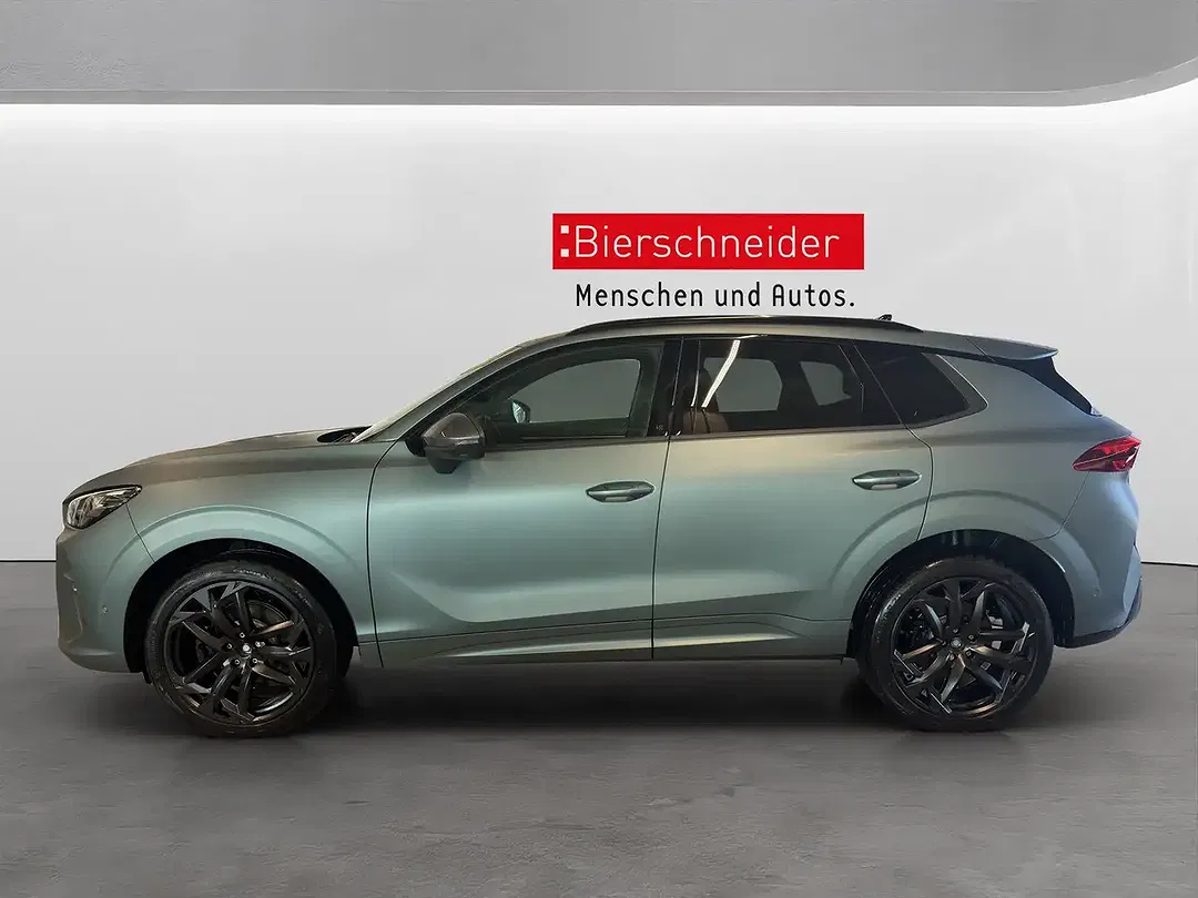 CUPRA Terramar 2.0 TSI DSG 4Drive - Thumbnail 6