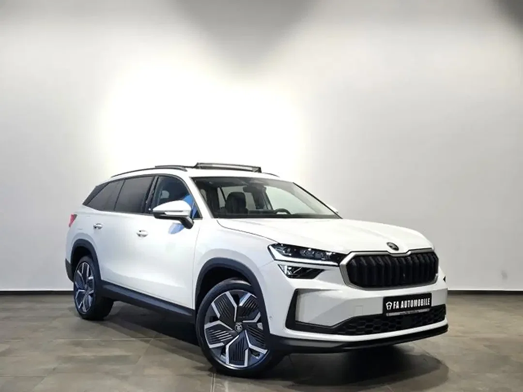 Skoda Kodiaq 4x4 - Afbeelding 1