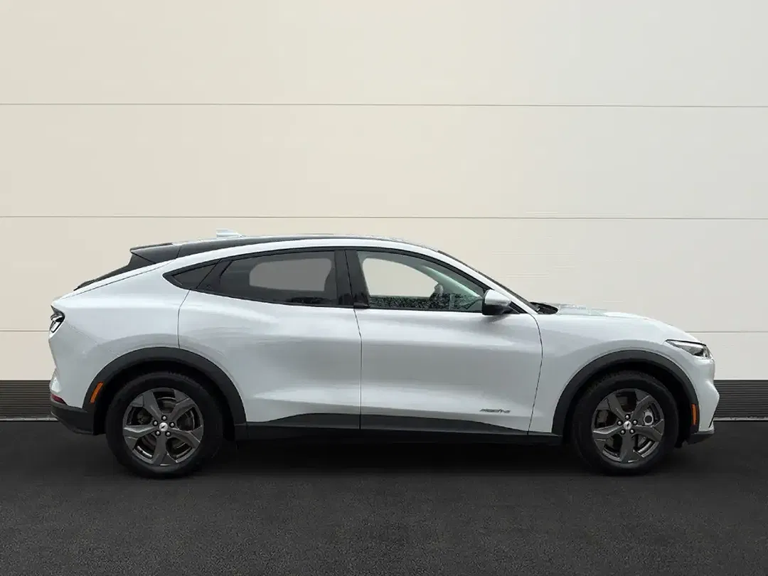 Ford Mustang Mach-E - Thumbnail 5