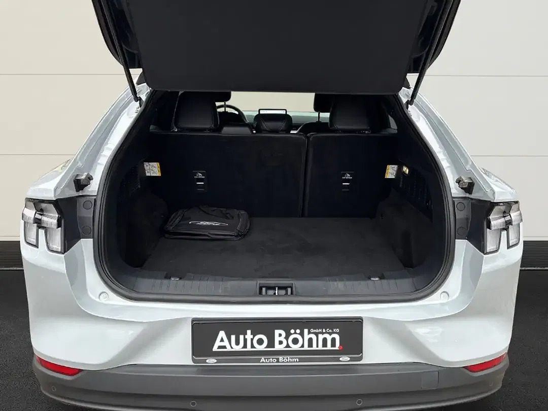 Ford Mustang Mach-E - Thumbnail 8