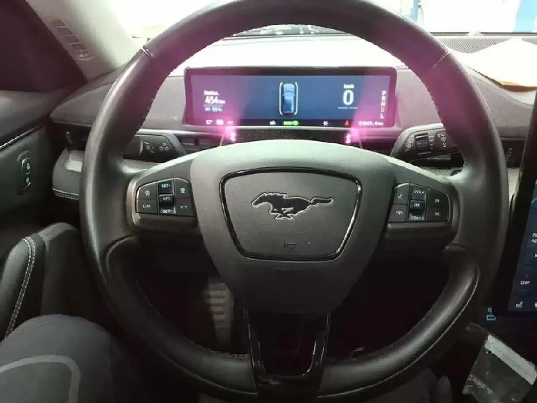 Ford Mustang Mach-E - Thumbnail 9