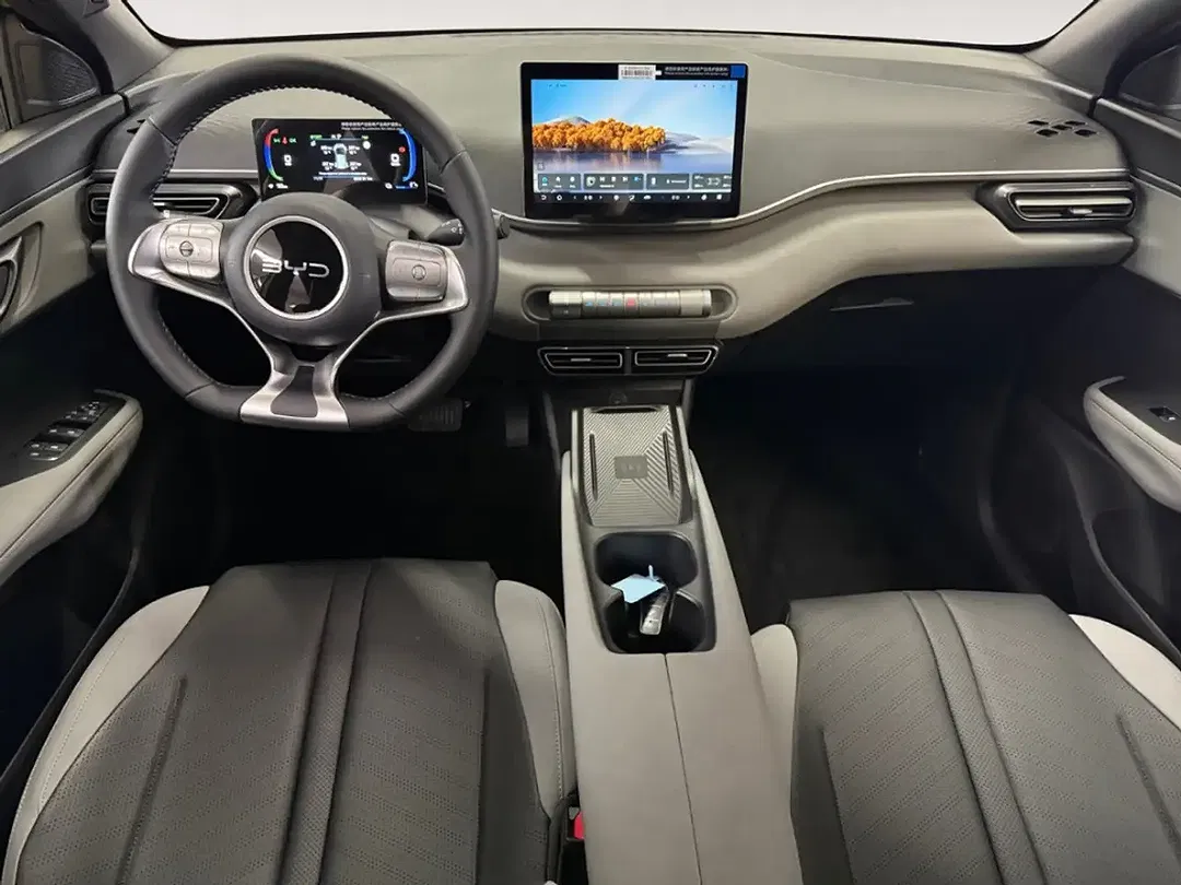 BYD Dolphin Comfort - Thumbnail 12