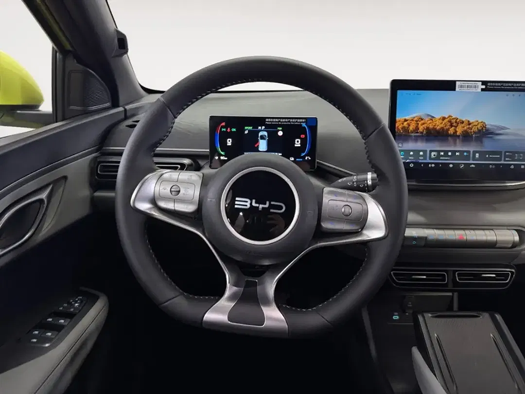 BYD Dolphin Comfort - Thumbnail 13