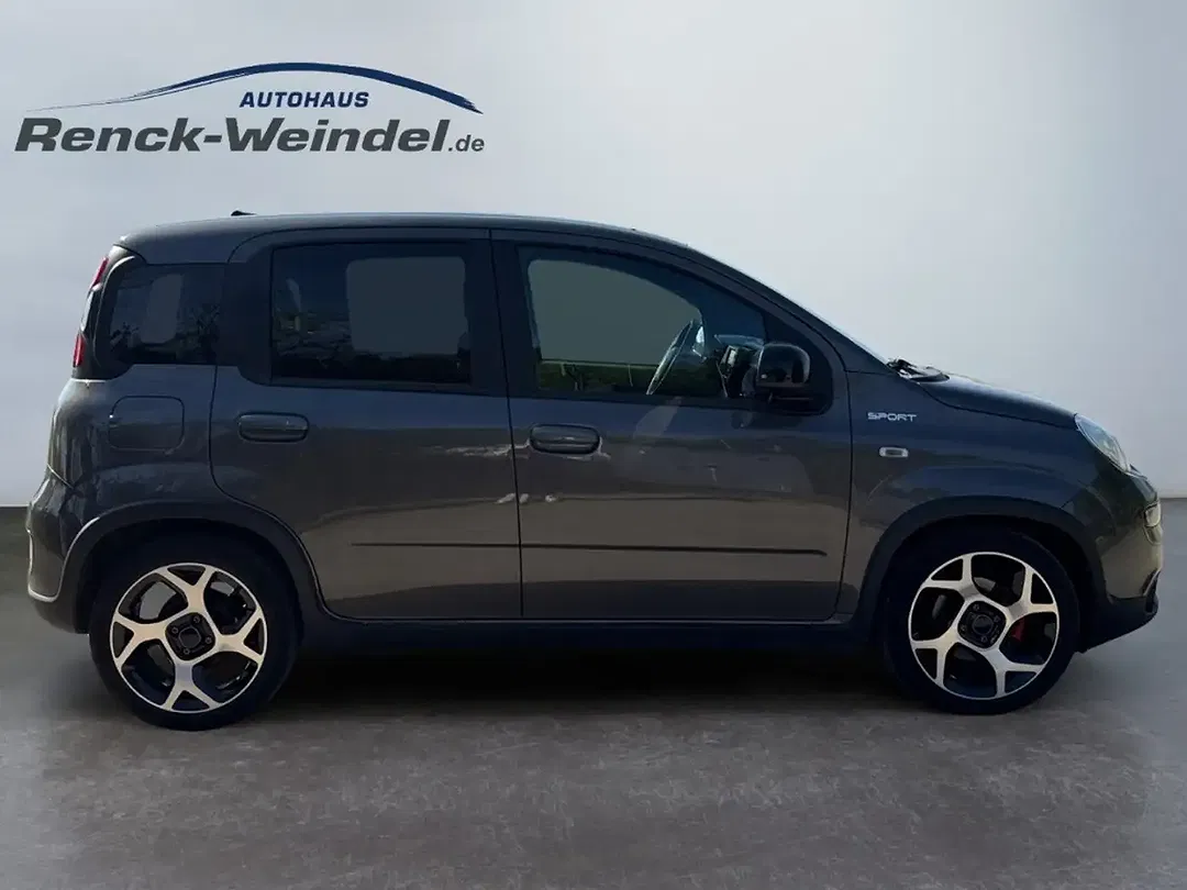 Fiat Panda 1.0 GSE Sport - Thumbnail 6