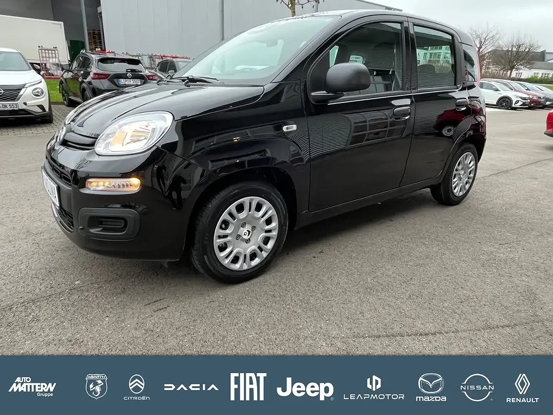 Fiat Panda Icon - Afbeelding 1