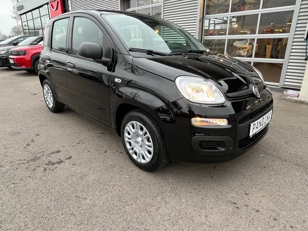 Fiat Panda Icon - Thumbnail 3