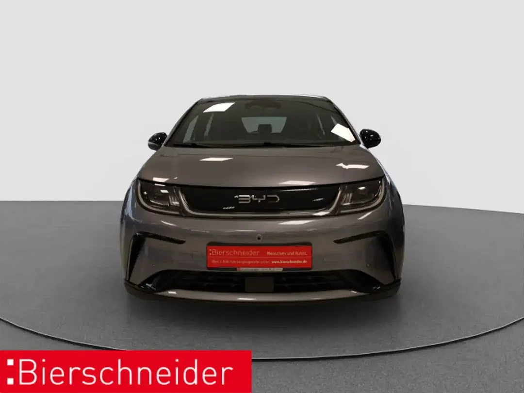 BYD Dolphin Design - Afbeelding 1