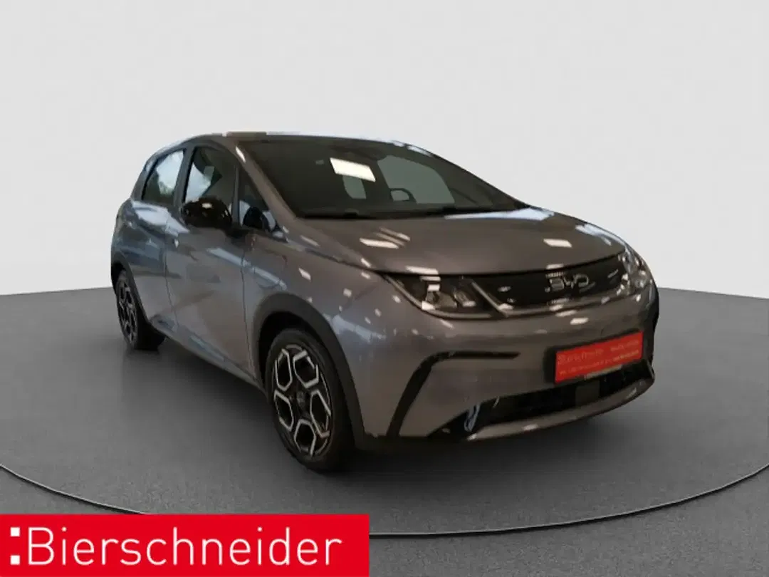 BYD Dolphin Design - foto 2