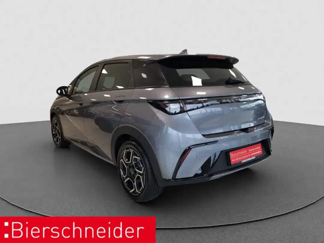 BYD Dolphin Design - Thumbnail 4