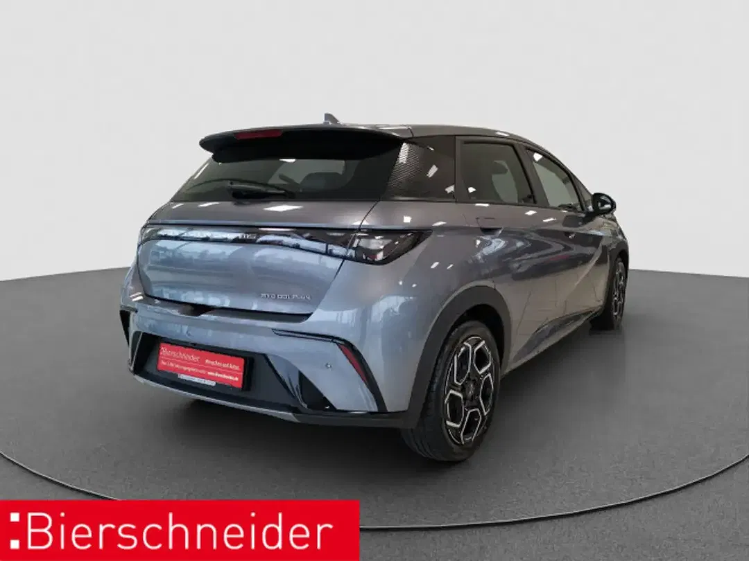 BYD Dolphin Design - Thumbnail 5