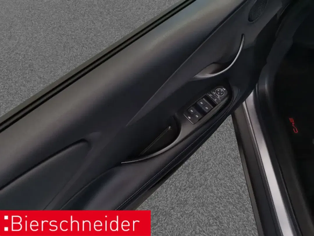 BYD Dolphin Design - Thumbnail 7
