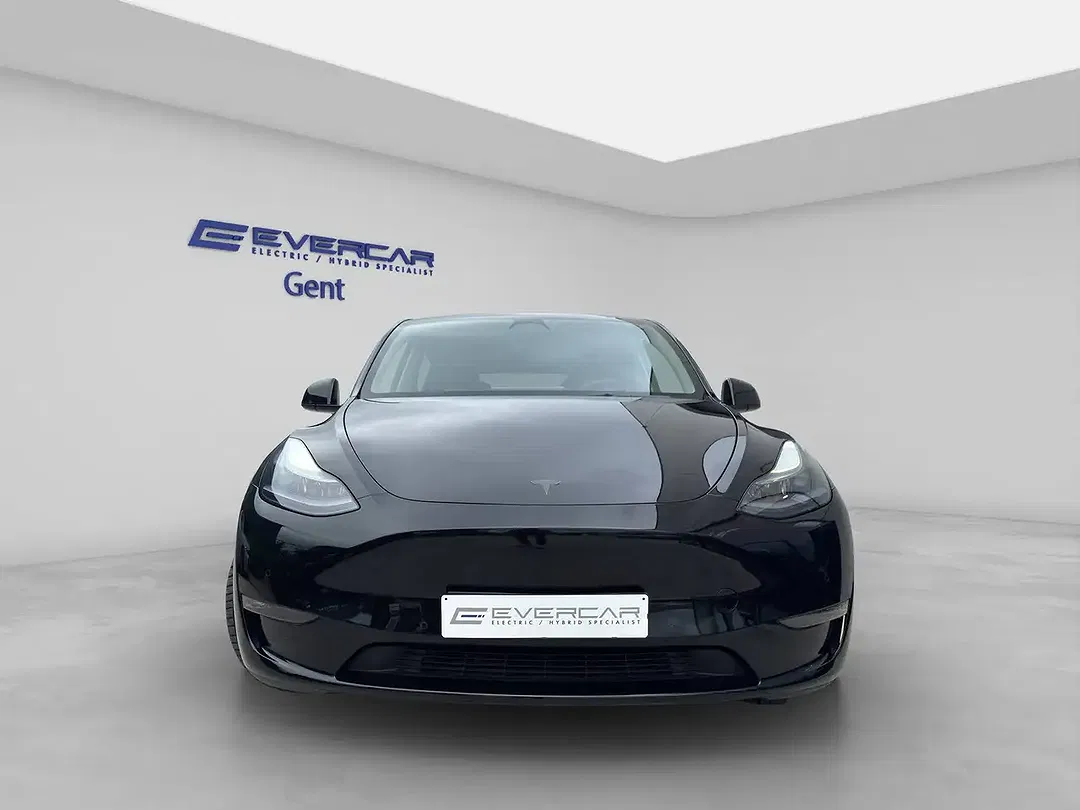 Tesla Model Y AWD Long Range - foto 2
