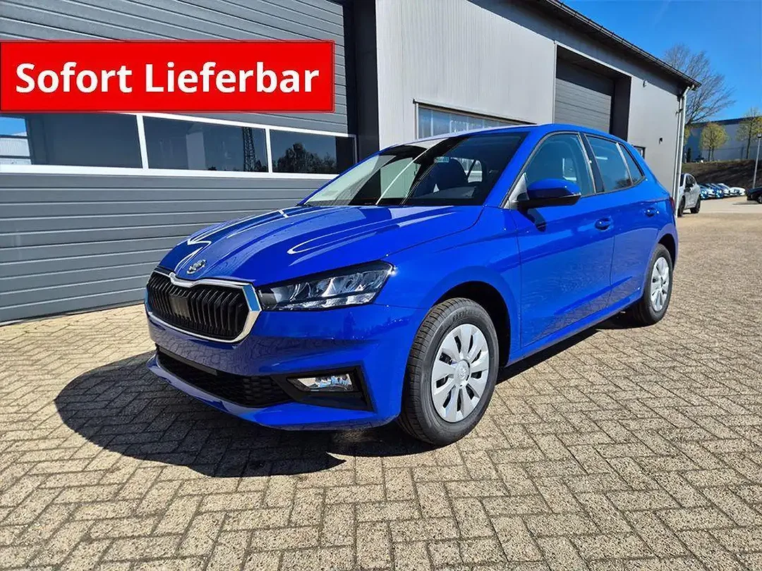 Skoda Fabia 1.0 TSI Selection - Afbeelding 1